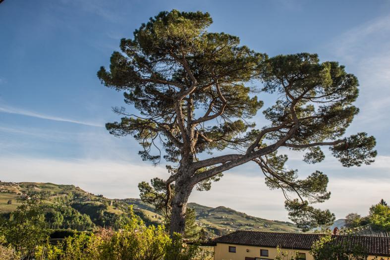 Tenuta Fagnanetto Villa Santo Stefano Belbo Esterno foto