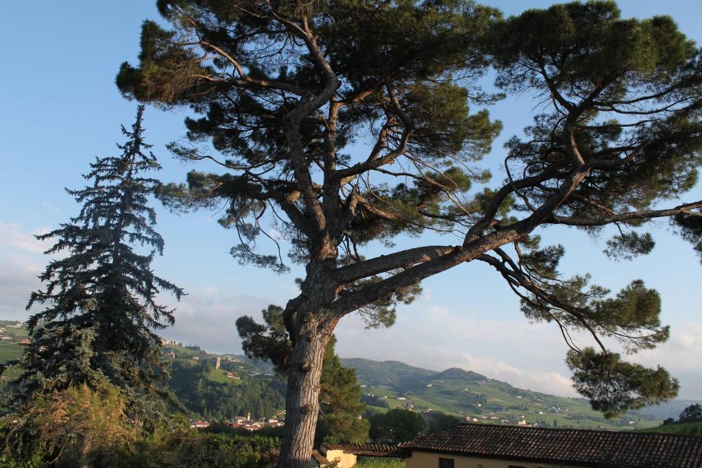 Tenuta Fagnanetto Villa Santo Stefano Belbo Esterno foto