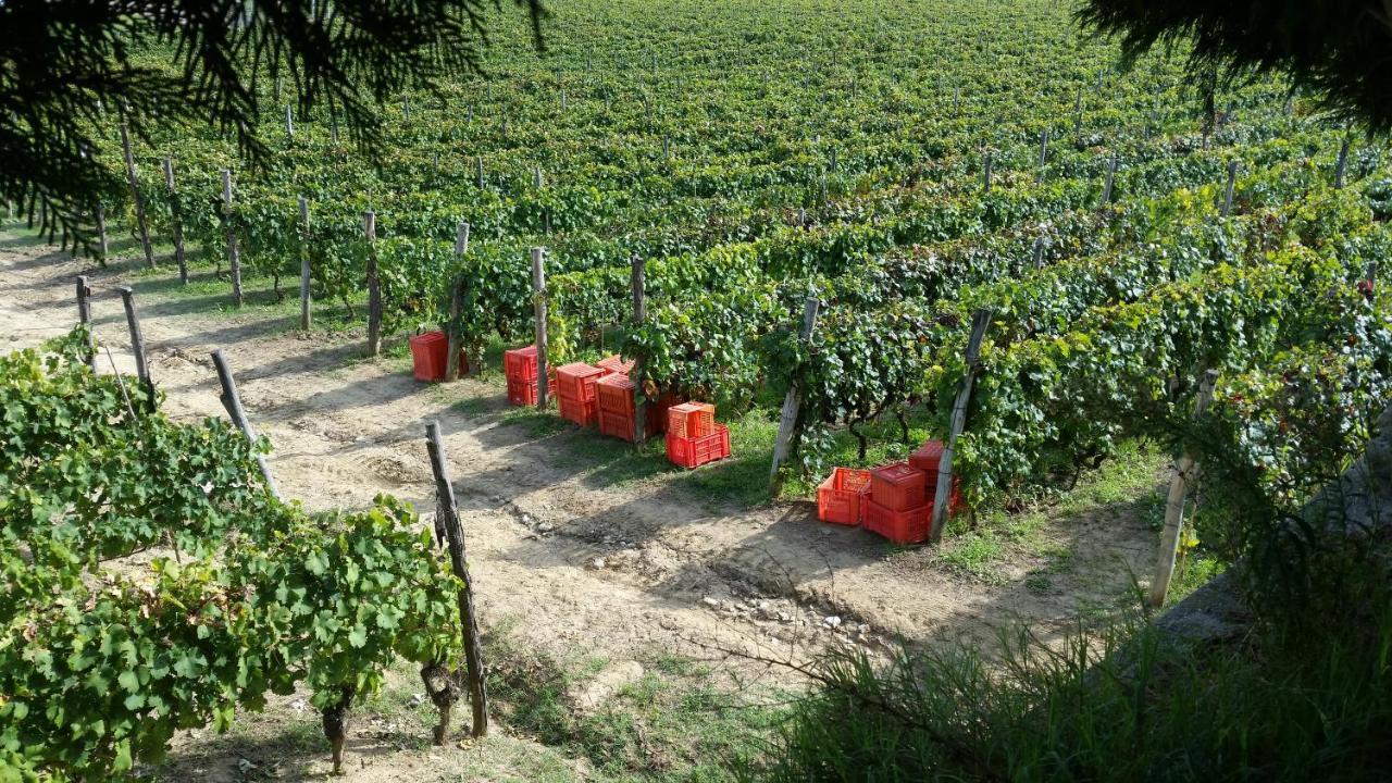 Tenuta Fagnanetto Villa Santo Stefano Belbo Esterno foto
